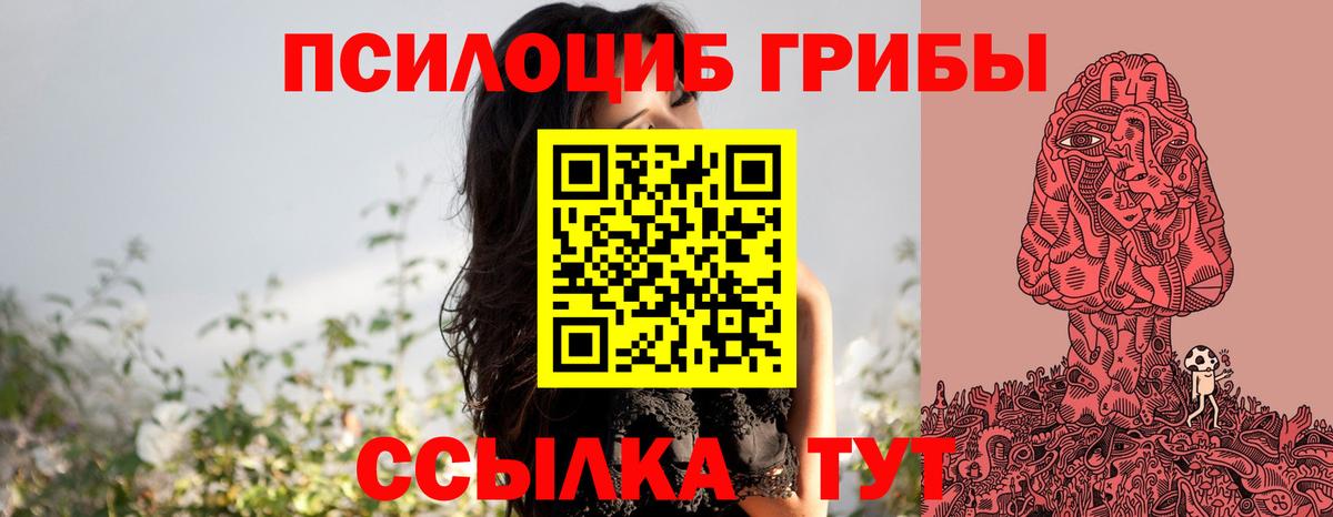 Черемхово  Псилоцибиновые грибы Magic Shrooms  Вход с VPN  Галлюциногенные грибы прущие грибы 