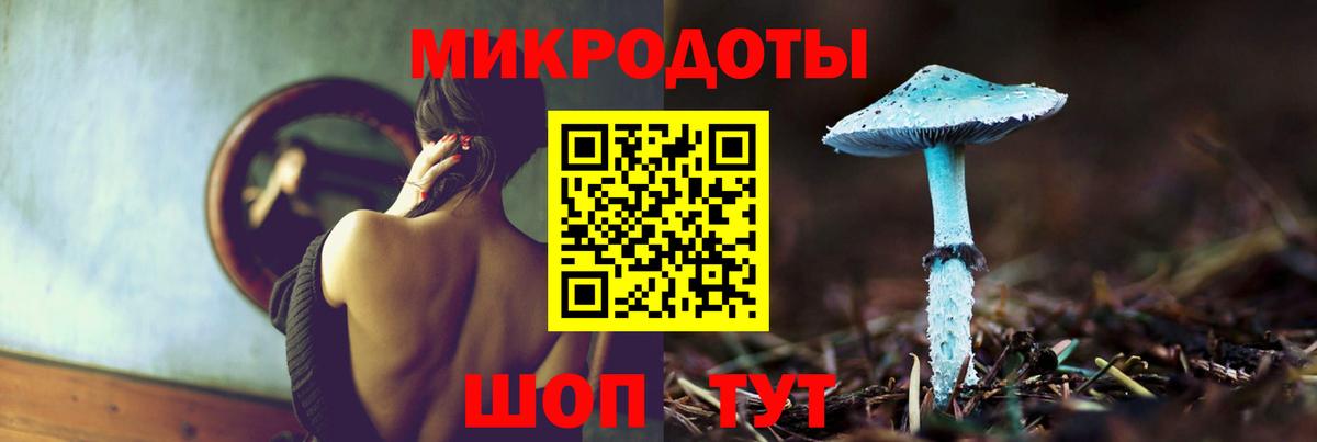 Псилоцибиновые грибы Cubensis Черемхово
